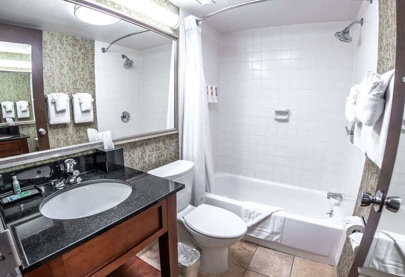 Salt Lake Plaza Hotel Surestay Collection By Best Western