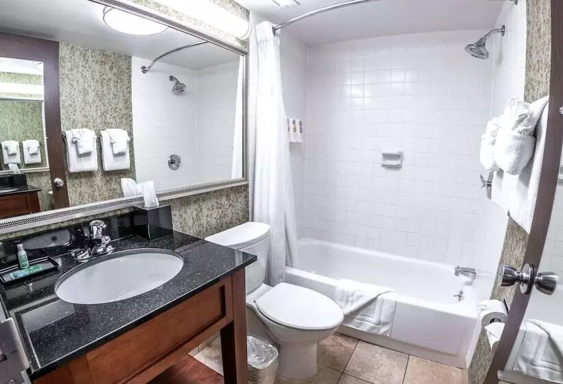 Salt Lake Plaza Hotel Surestay Collection By Best Western