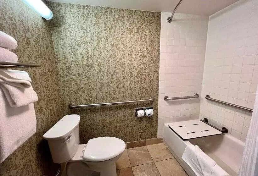 Salt Lake Plaza Hotel Surestay Collection By Best Western