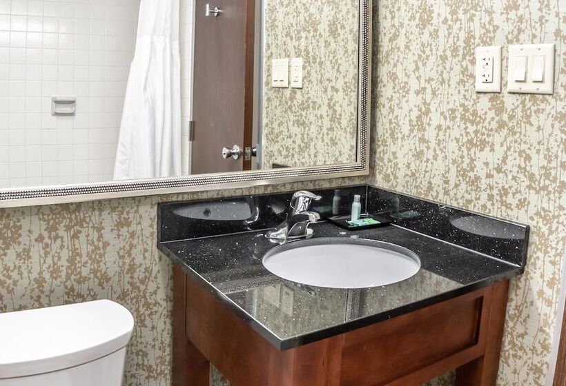 Salt Lake Plaza Hotel Surestay Collection By Best Western