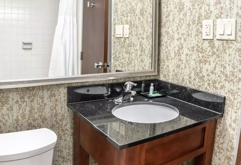 Salt Lake Plaza Hotel Surestay Collection By Best Western