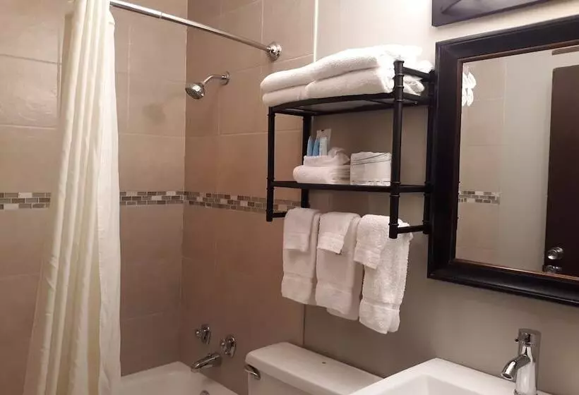 Отель The Dakota