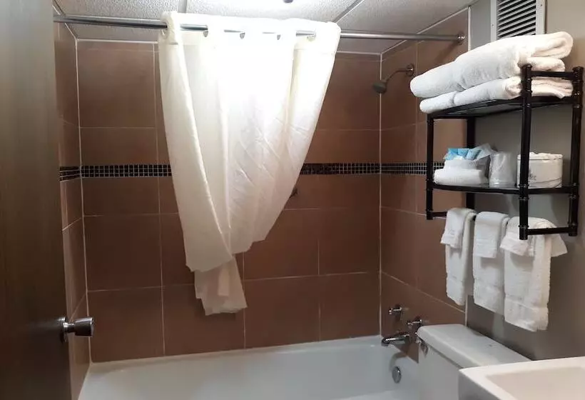 Отель The Dakota