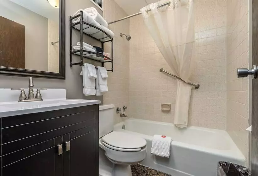 Отель The Dakota