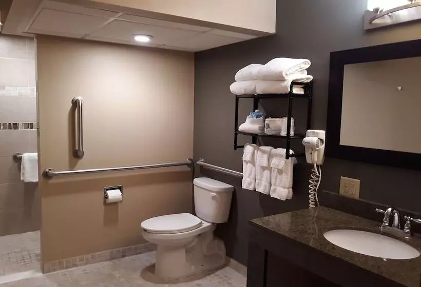 Отель The Dakota