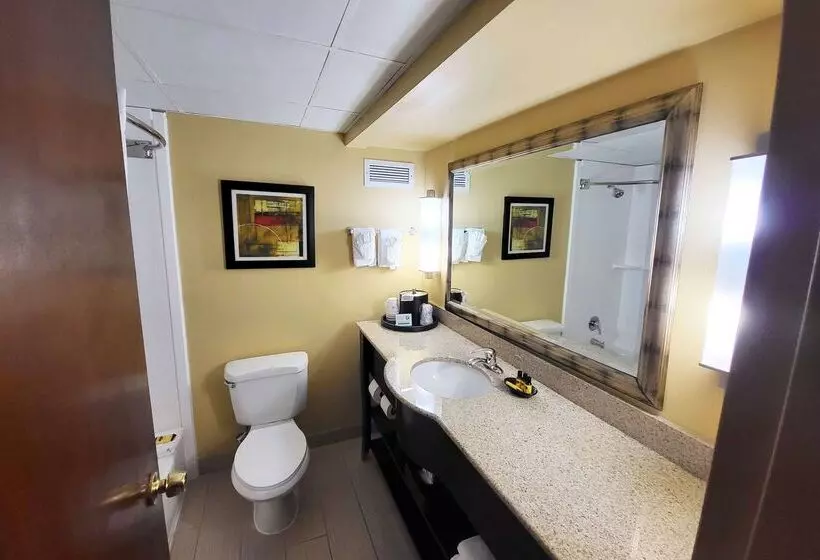 호텔 Wingate By Wyndham Greensboro Coliseum