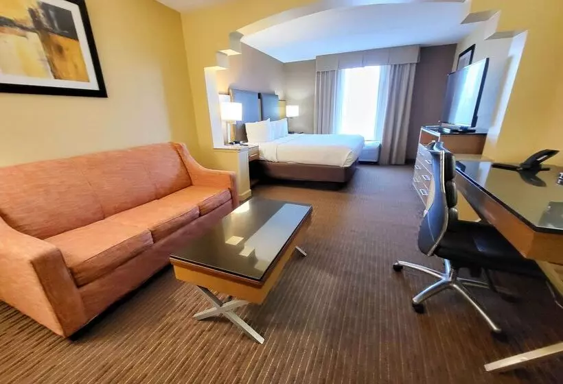 호텔 Wingate By Wyndham Greensboro Coliseum