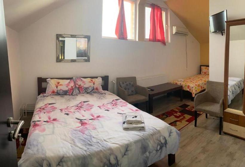 مُتل Casa ștefan Guest House