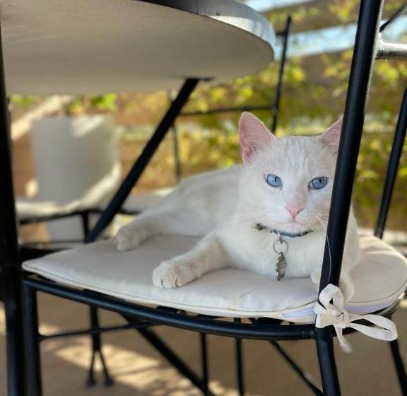 펜션 Le Stanze Di Chiara