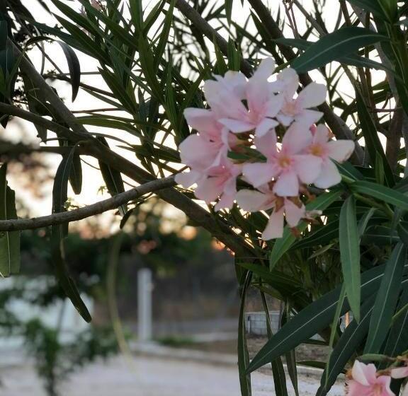 펜션 Le Stanze Di Chiara