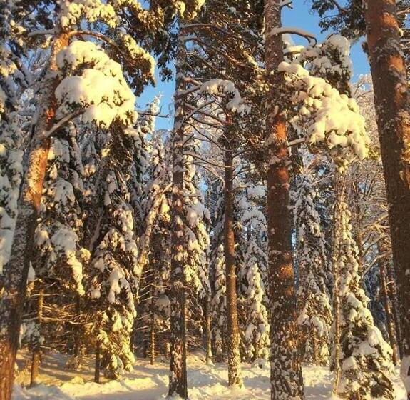 فندق Sandvik Gård