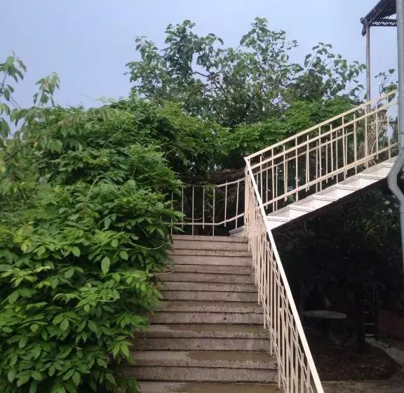 پانسیون Stone House