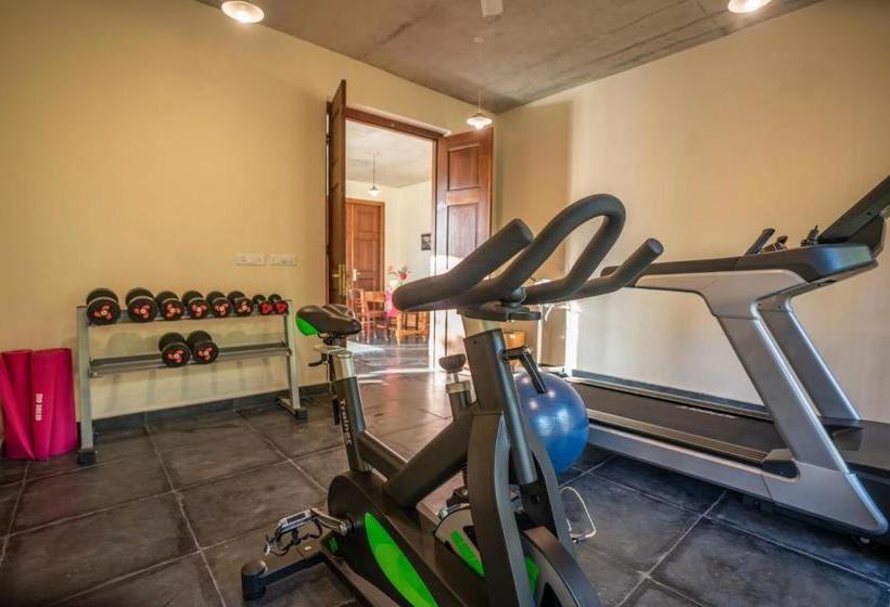 אתר נופש Shambala Yercaud