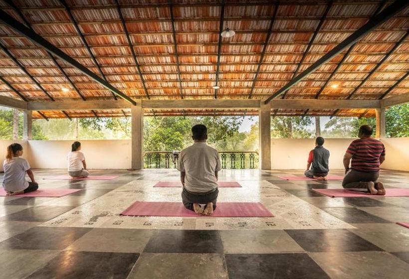 אתר נופש Shambala Yercaud