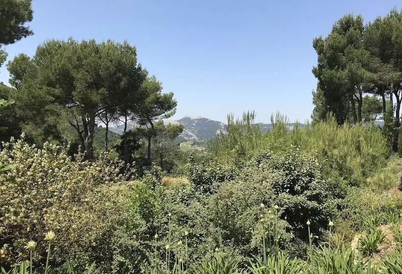 B&b L Aube Safran