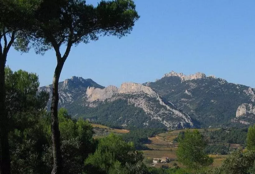 B&b L Aube Safran