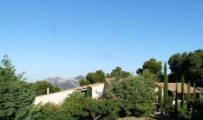 B&b L Aube Safran