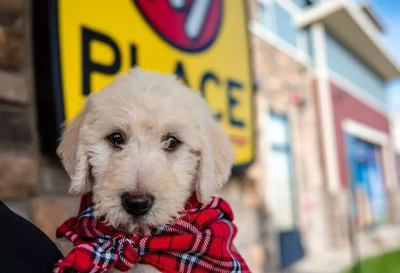 My Place Hotel Carson City, Nv