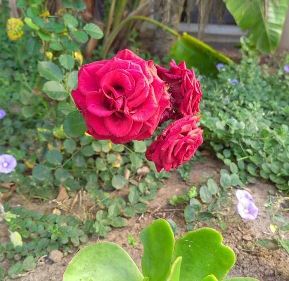 פנסיון @47 Galpin