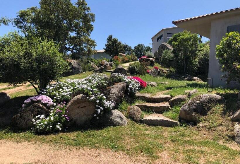 פנסיון A Camerina