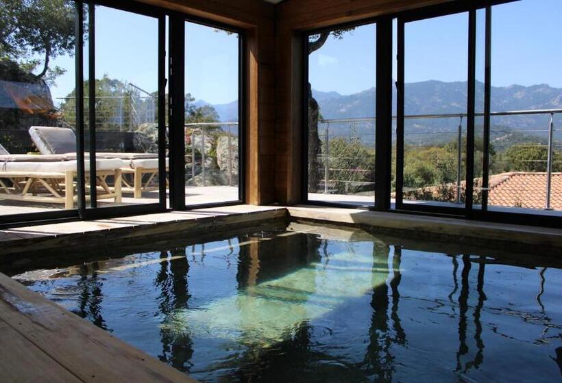 פנסיון A Camerina