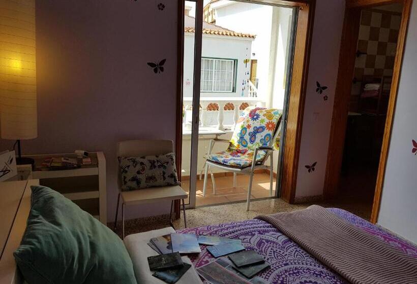 پانسیون The Magic Dragonfly!