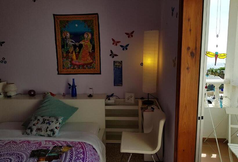 پانسیون The Magic Dragonfly!