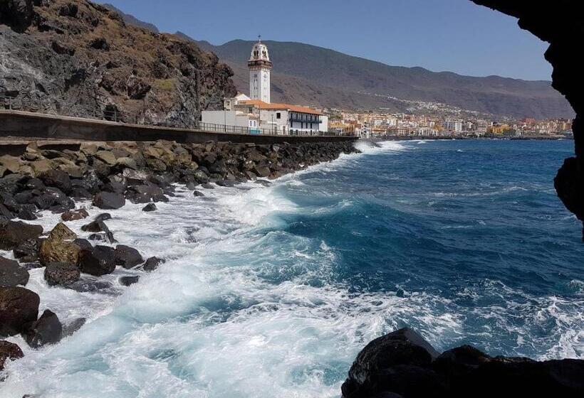 پانسیون The Magic Dragonfly!