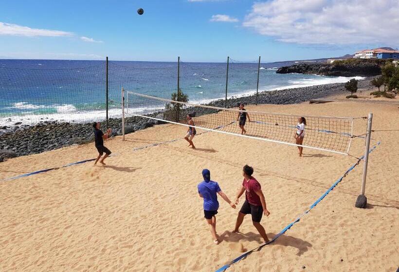 پانسیون The Magic Dragonfly!