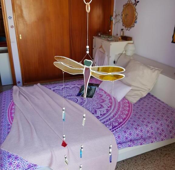 پانسیون The Magic Dragonfly!