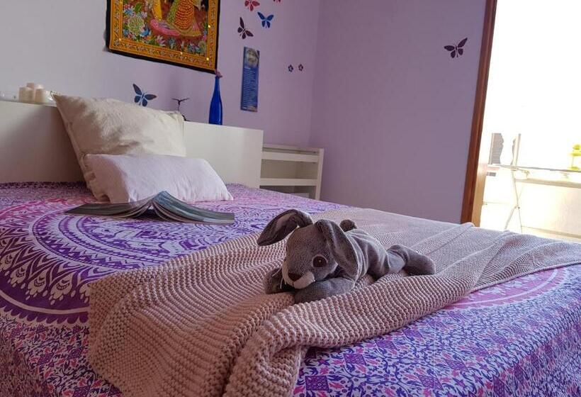 پانسیون The Magic Dragonfly!