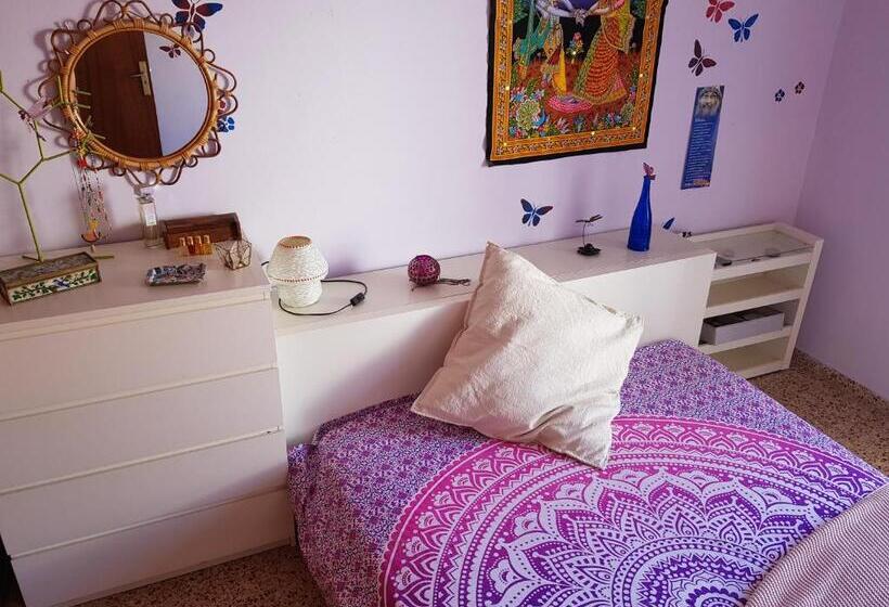 پانسیون The Magic Dragonfly!