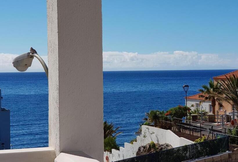 پانسیون The Magic Dragonfly!