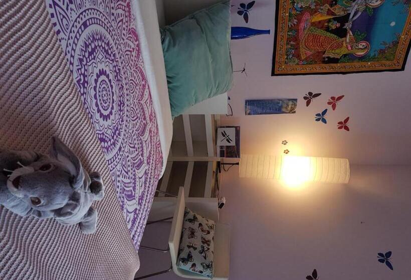 پانسیون The Magic Dragonfly!