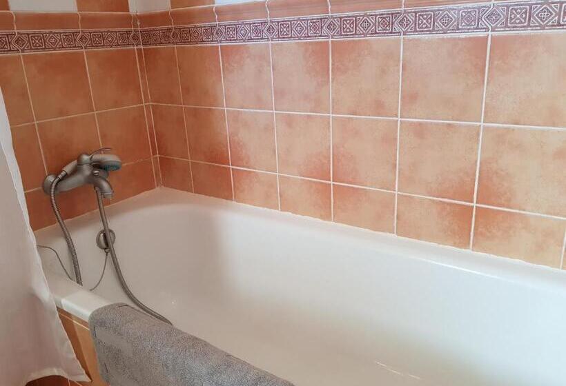 پانسیون The Magic Dragonfly!