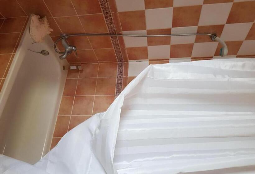 پانسیون The Magic Dragonfly!