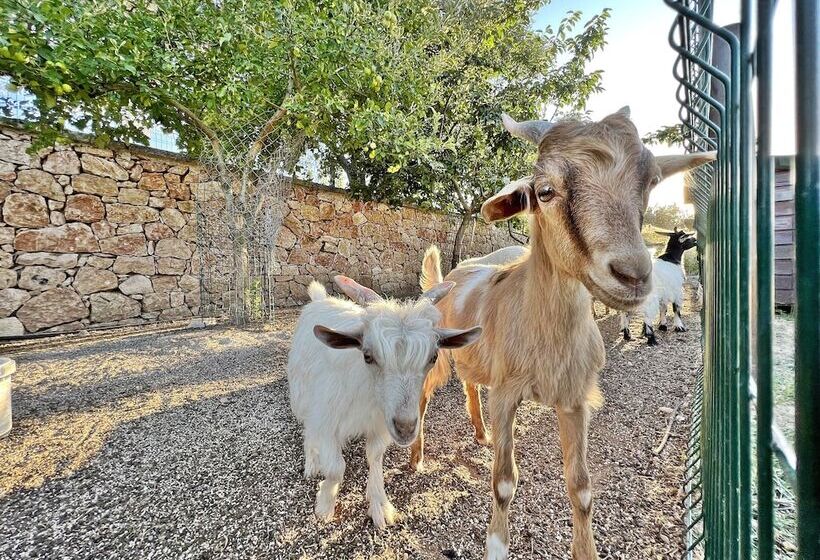 Hotel Turnabogazi Ciftlik Evleri