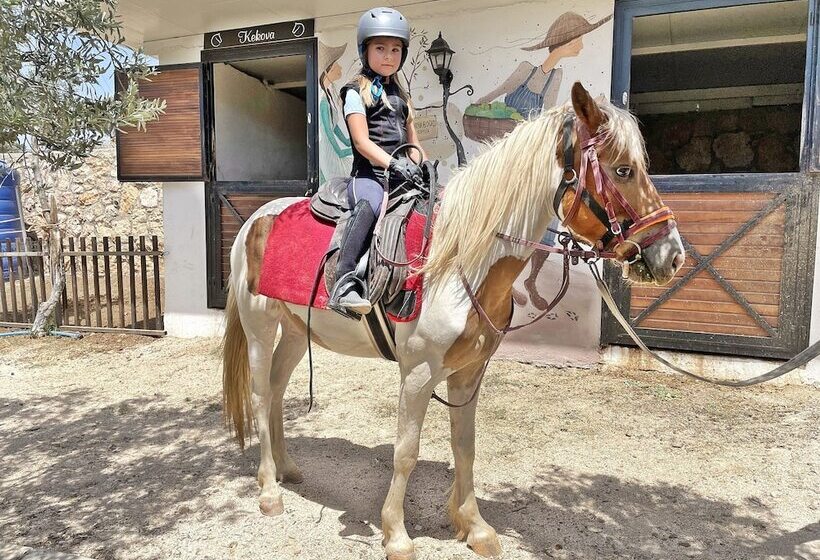 Hotel Turnabogazi Ciftlik Evleri