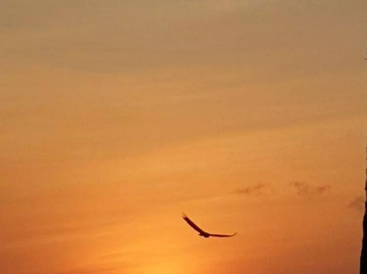 ペンション Montepascual Ecovillage