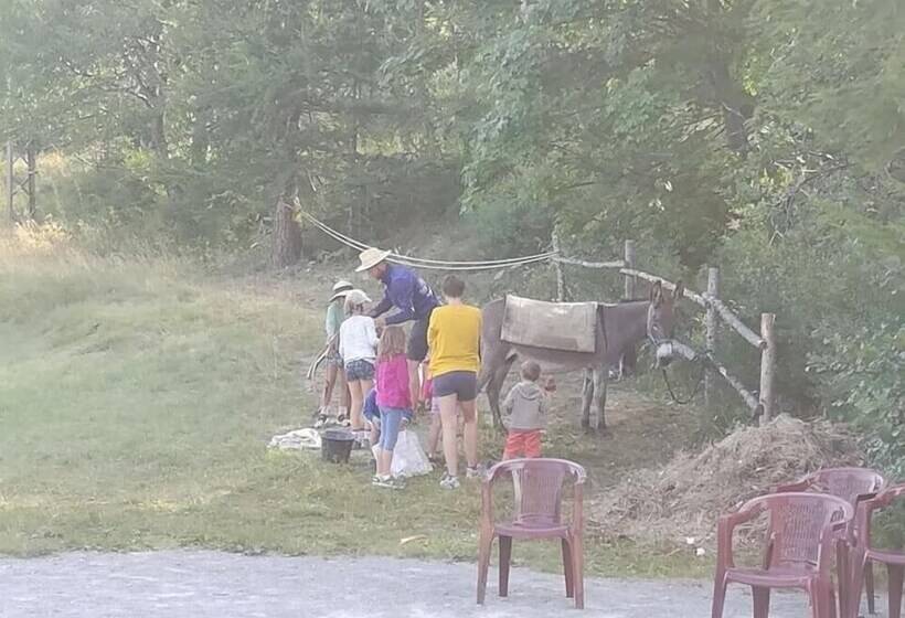 Общежитие Gite De La Draye