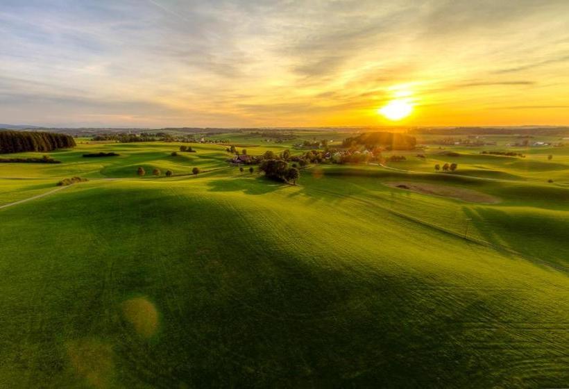 Boarding & House T24