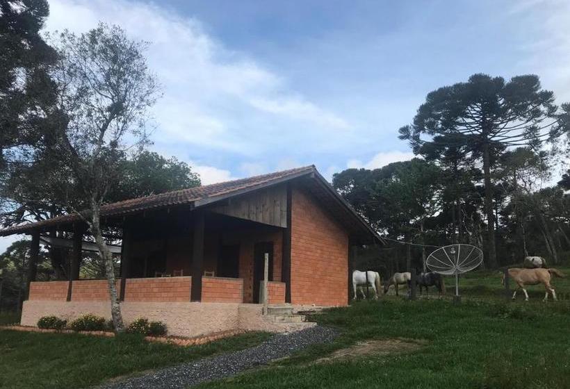 فندق Fazenda Evaristo