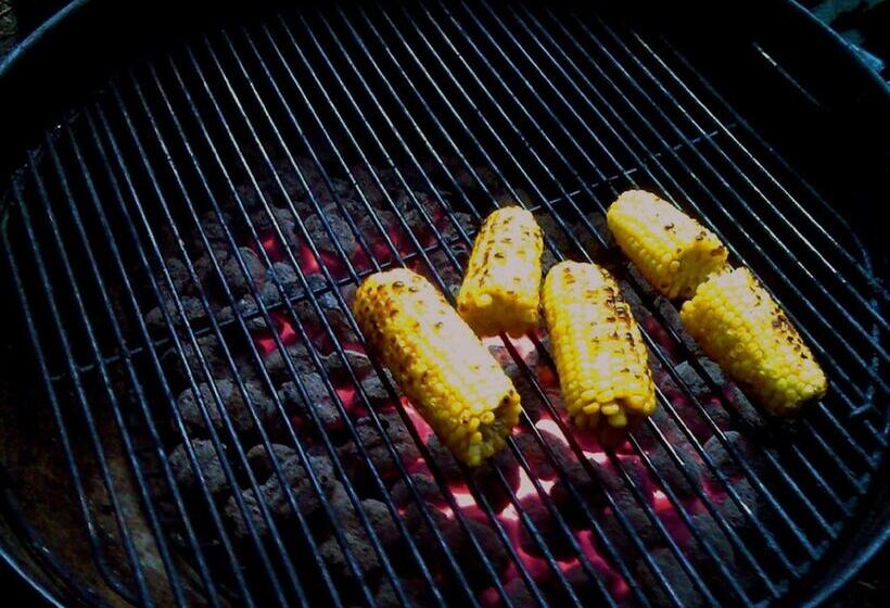 فندق Budgetel Inn   Phenix City