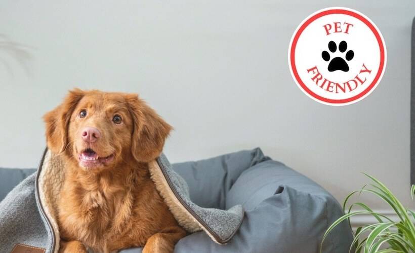 فندق Budgetel Inn   Phenix City