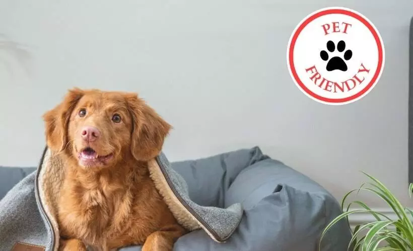 ホテル Budgetel Inn   Phenix City