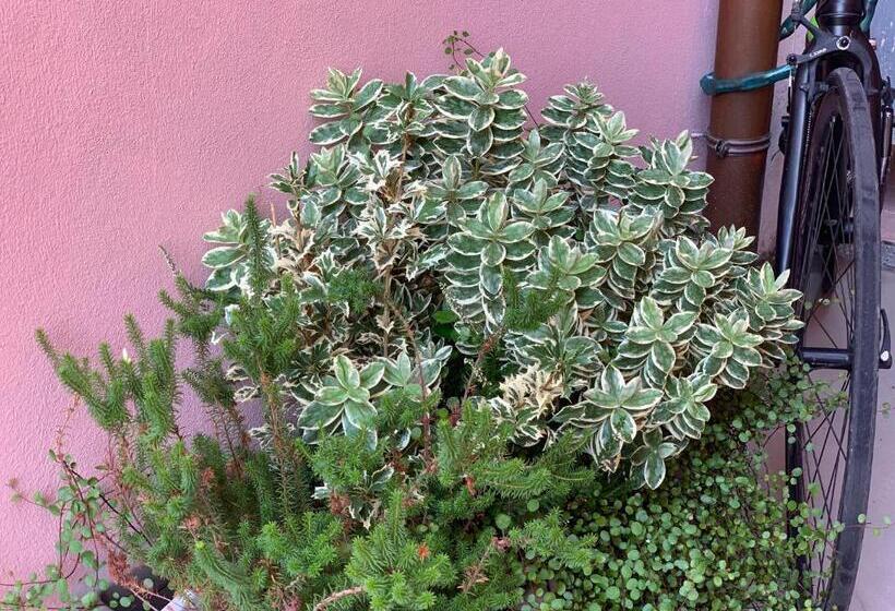 Пансион Rosamare