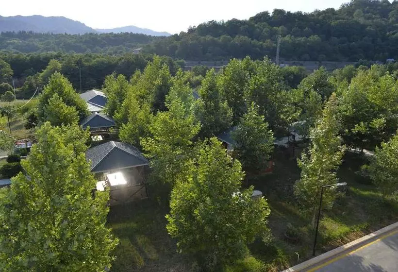 هتل Hirkan Park