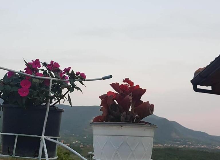 Отель Hylli I Drites