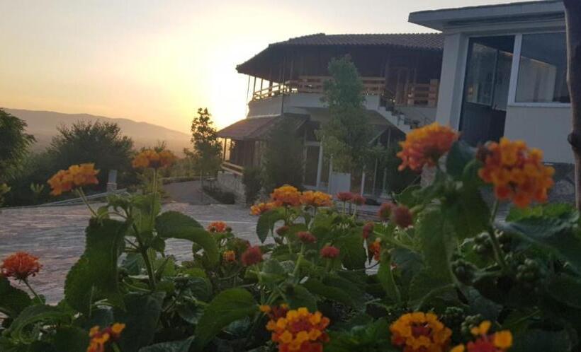 Отель Hylli I Drites