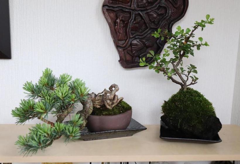 פנסיון Guesthouse Oyado Iizaka